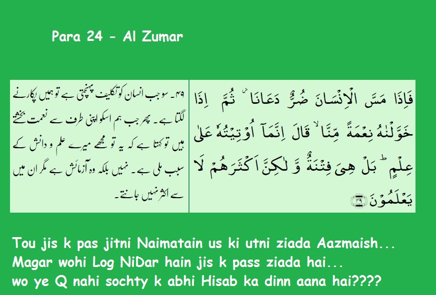 Al Zumar -49.jpg